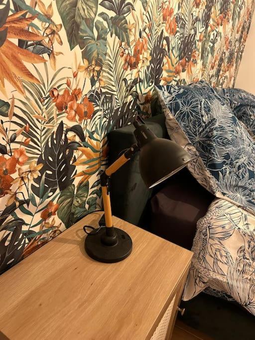 Le Floral Leilighet Carcassonne Eksteriør bilde